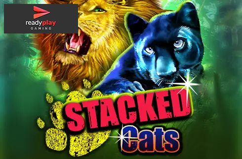 Stacked Cats